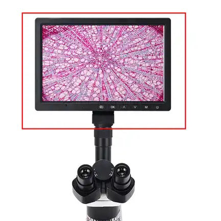 Full HD C-Mount camera for trinocular microscope with 10 "LCD monitor