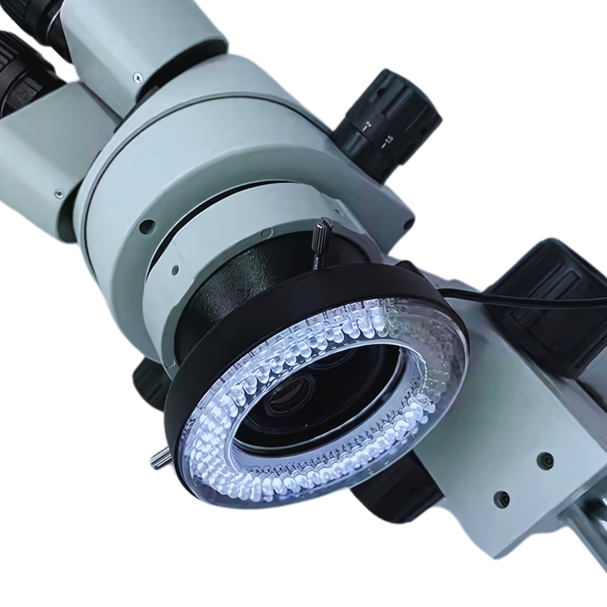 Additional microscope lighting: daylight and ultraviolet light with light direction positioning