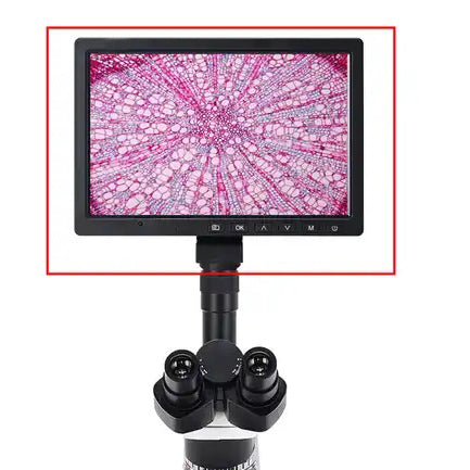 Telecamera per microscopio Full HD con monitor LCD da 10 pollici